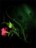 Ha_Ngoc_Lan's Avatar